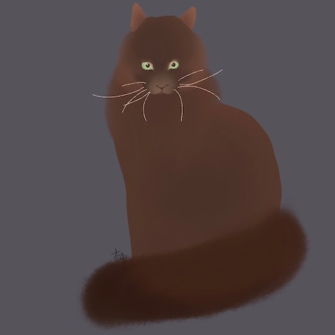 くろねこ（Web用イラスト）