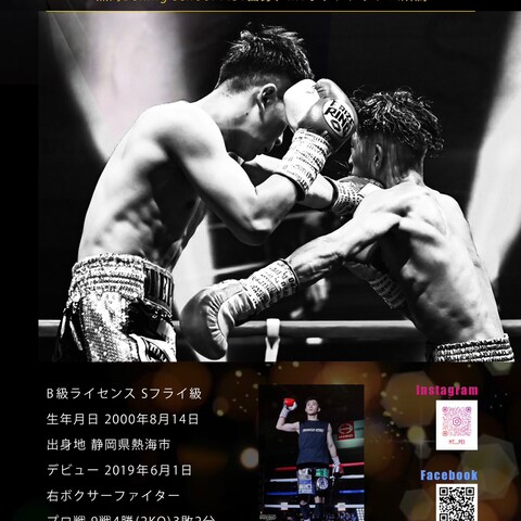 プロボクサープロフィールフライヤー