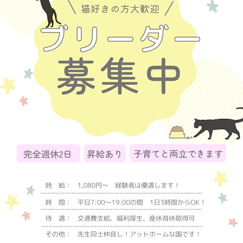 可愛いチラシデザイン