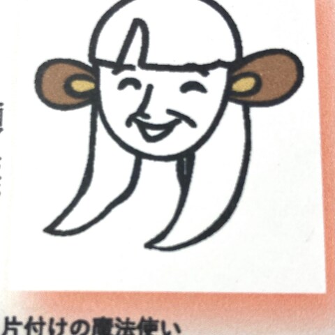 近藤麻理恵　片付けの魔術師