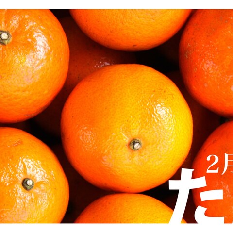 中原商店 SNS販促バナー