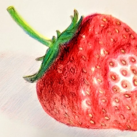 苺 リアルに描きました！！