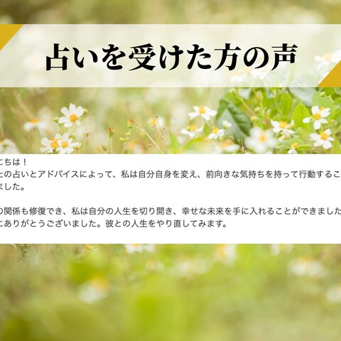 占いを受けた方の声2