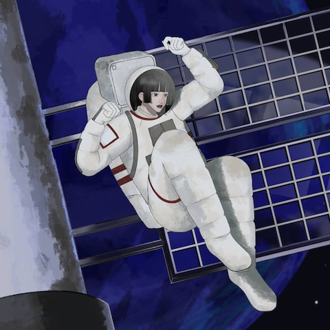 一枚絵