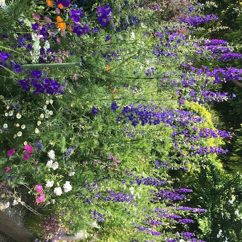 お花に癒されよう♪