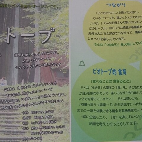 チラシ作成