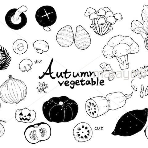 線画イラスト_秋野菜