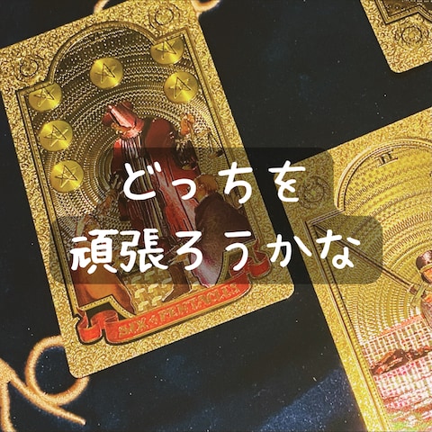 どっちの趣味を頑張ろうか