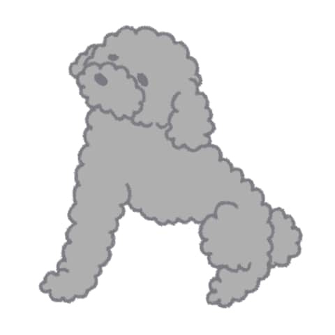 愛犬