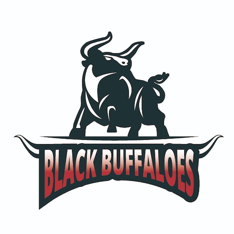 BLACK BUFFALOES　ロゴ作成
