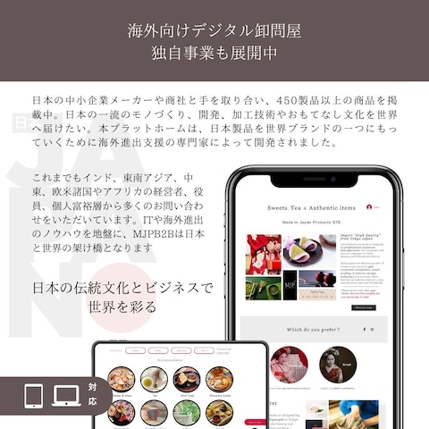 海外向けデジタル卸問屋（独自事業）
