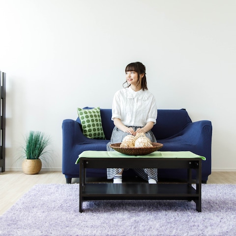 物件撮影（モデルを使ったものも含む）