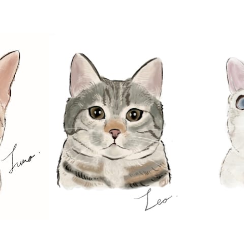 Cat Portrait Illustration