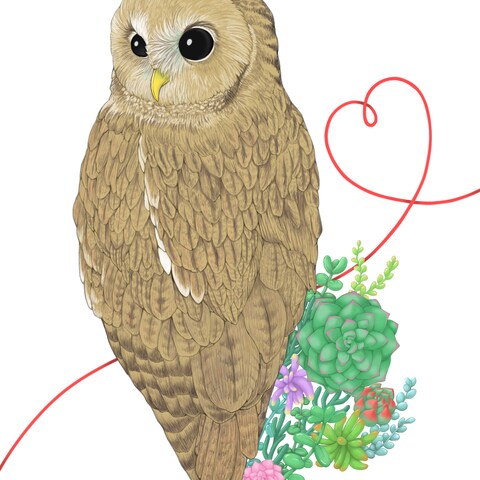 フクロウちゃんの似顔絵