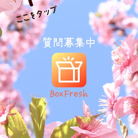 BoxFresh バナー