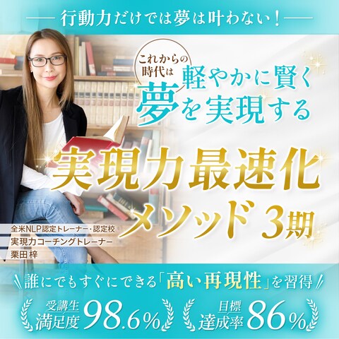 2024年11月実績