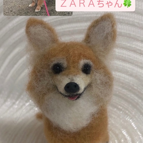 ZARAちゃん