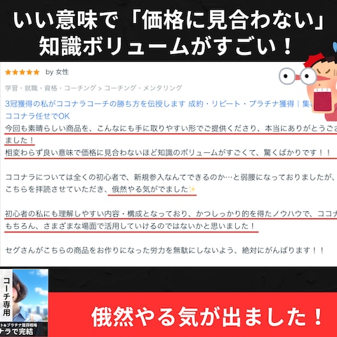 いい意味で価値に見合わない！知識ボリュームがすごいです！