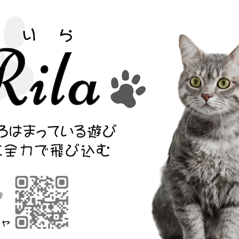 SNSで活動する猫ちゃんのアカウント広報用カードデザイン