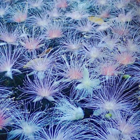 精神医療・心理学のブログです