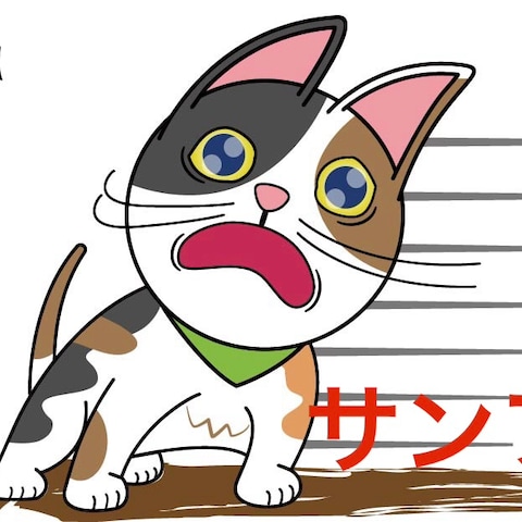 チラねこちゃん