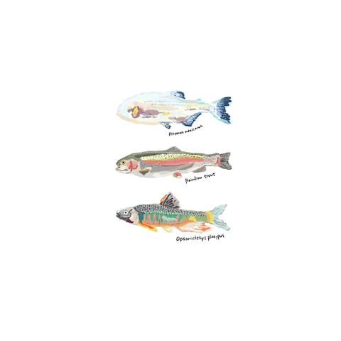 イラスト作成