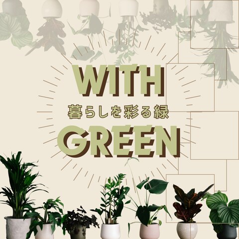 観葉植物のある暮らしを提案