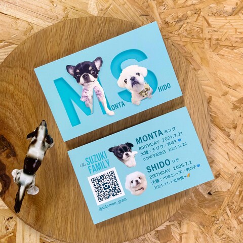 2頭対応のうちの子名刺「M＆S」×スカイブルー／ペット名刺
