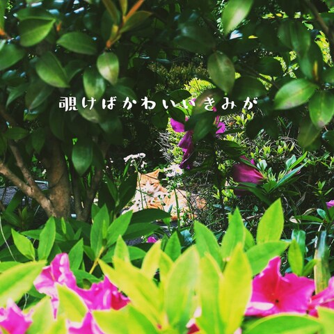 花の向こうの猫