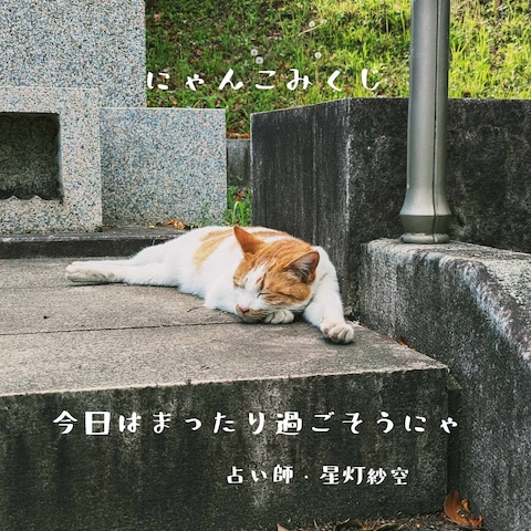 にゃんこみくじサンプル