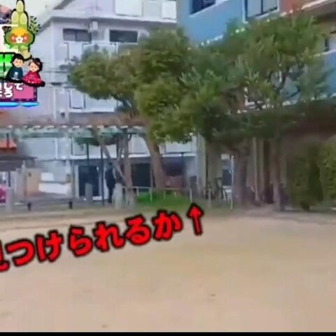 アウトドア動画