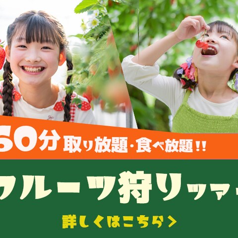 フルーツ狩りツアー