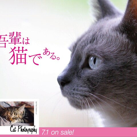 猫カフェイメージデザイン