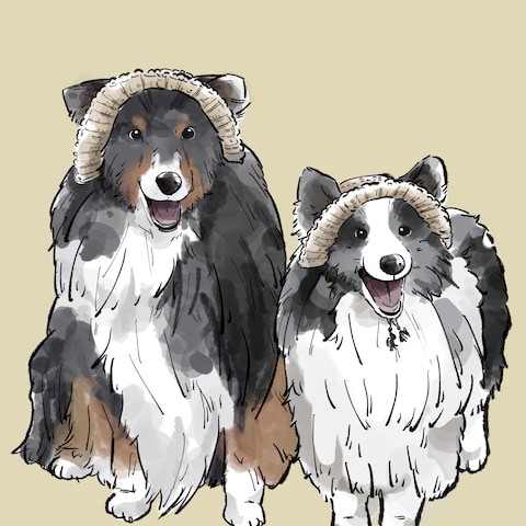依頼者様のペット似顔絵