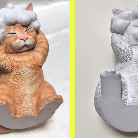 シャンプーする猫
