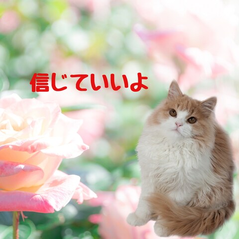 信頼できる親友、ご家族、お仲間がいますか？もしいたら、宝物✨