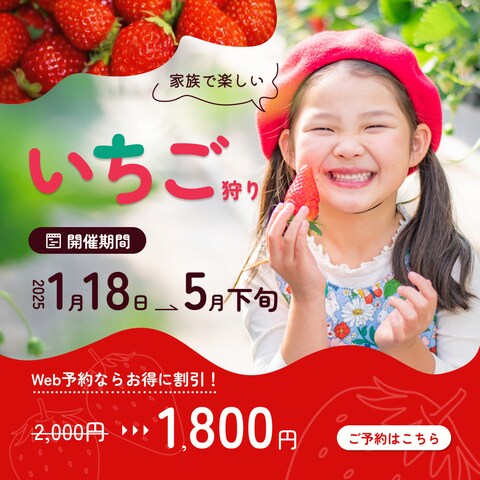 いちご狩りバナーデザイン(自主制作)