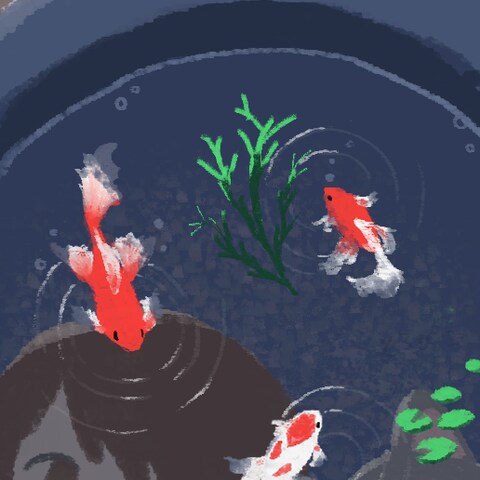 金魚のなつ