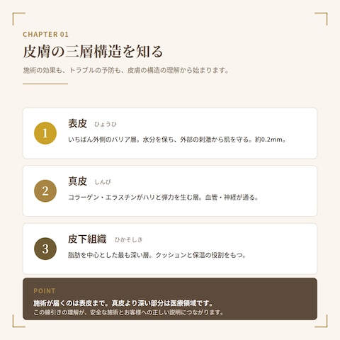 フェイシャル講座｜皮膚理論ページ 制作サンプル