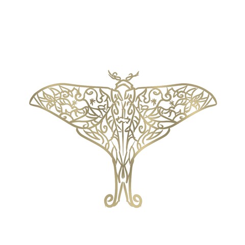 モルフォのシンボル