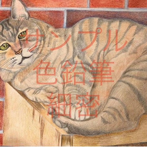 猫の似顔絵作成例