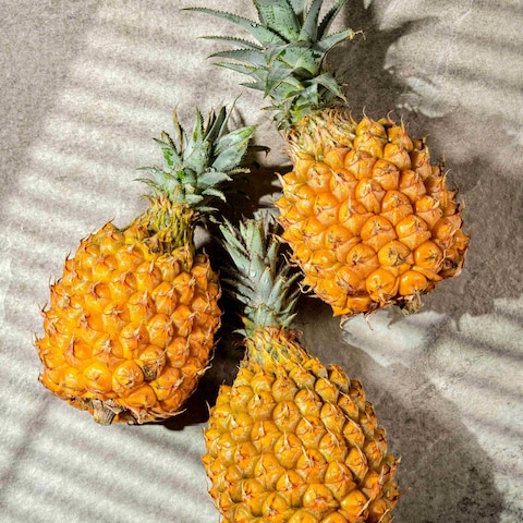 商品お預かり撮影