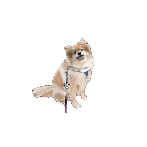 ペットのお写真をイラスト化！
