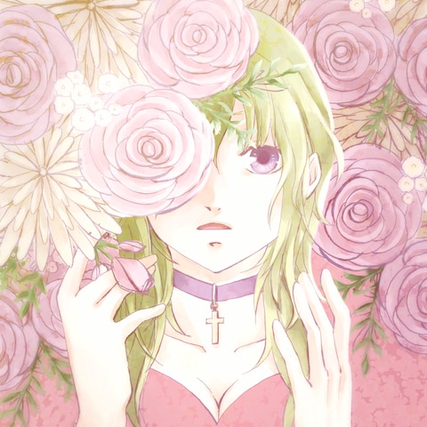 pink rose