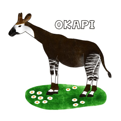 生き物のイラスト