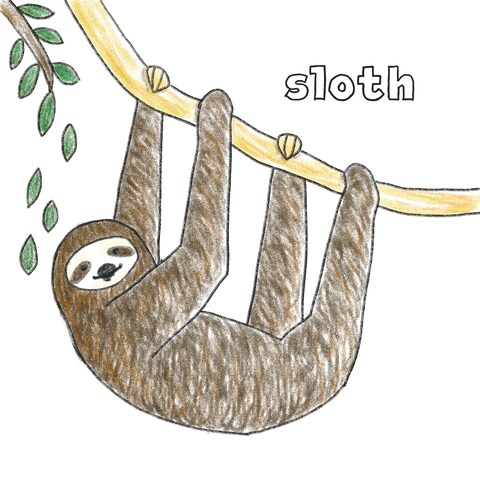 生き物のイラスト
