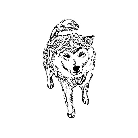 似顔絵 3