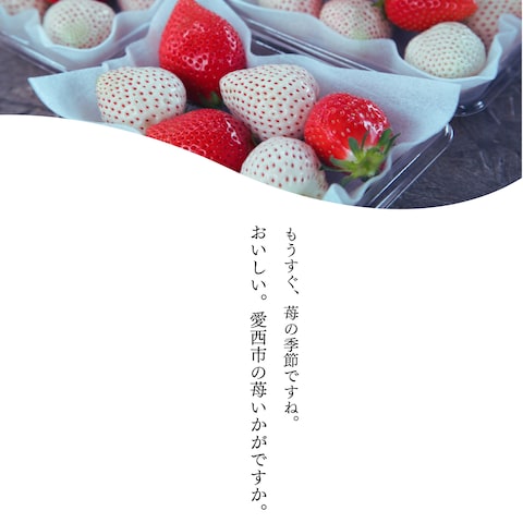素材の魅力にフォーカスしたフライヤー例　キャッチコピーも。