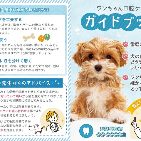 ワンコ用歯ブラシ 商品同梱リーフレット