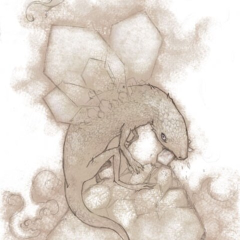 鉱石生物
